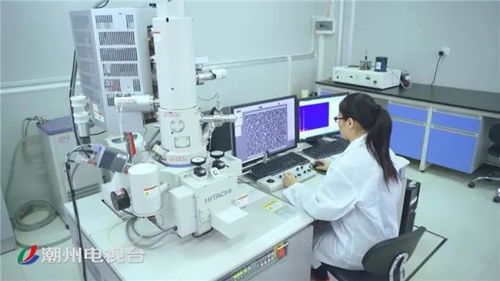 聚焦潮州高質(zhì)量發(fā)展 抓創(chuàng)新促轉(zhuǎn)型 做強做優(yōu)實體經(jīng)濟